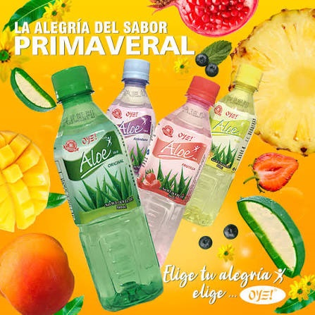 OYE ALOE ARANDANO